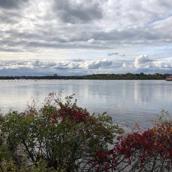 Meet your Posher, Gewels - Picture 1 of 1